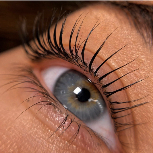 Rehaussement et teinture de cils Glueless
