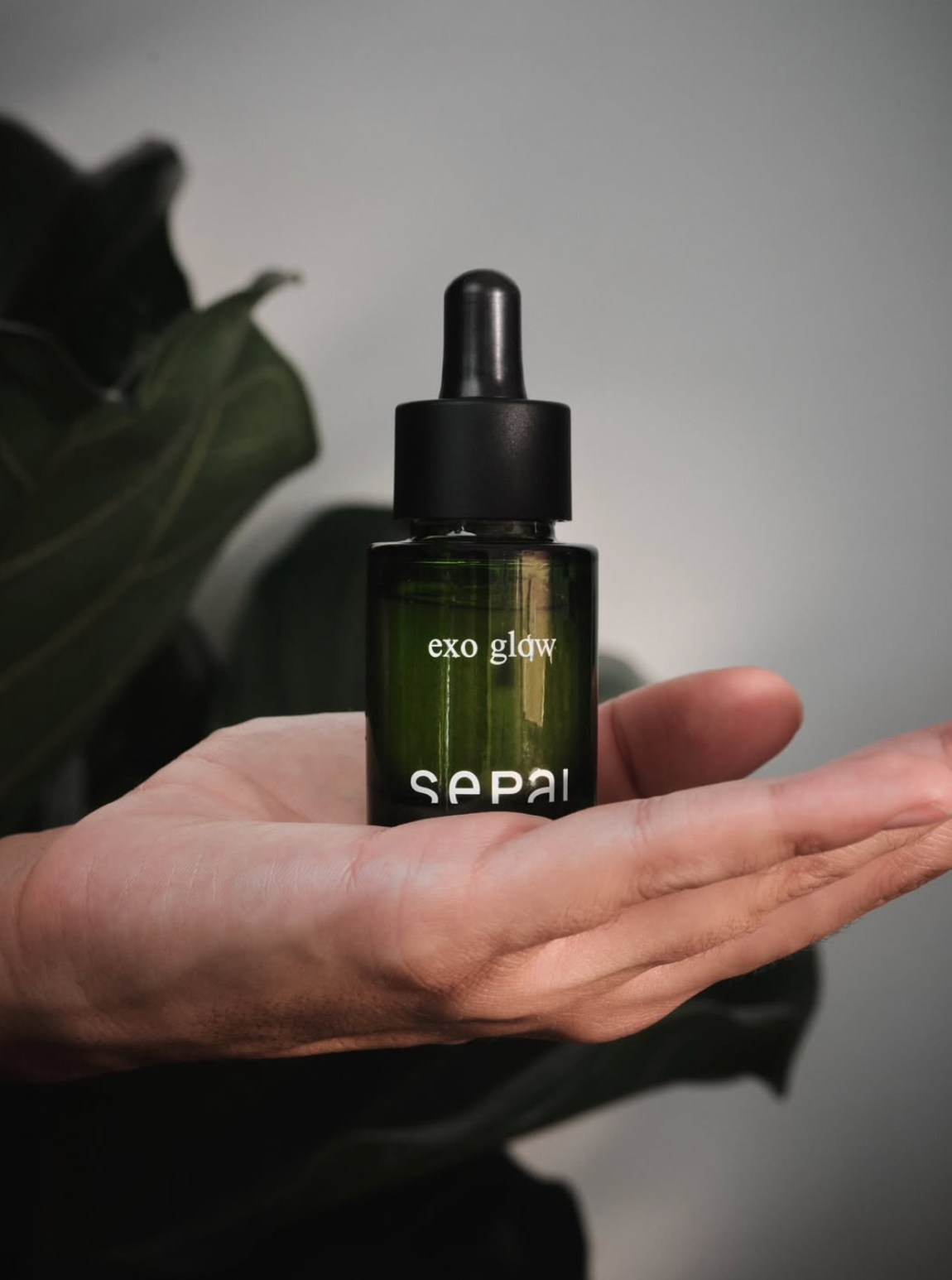 Elixir Sepai ExoGlow